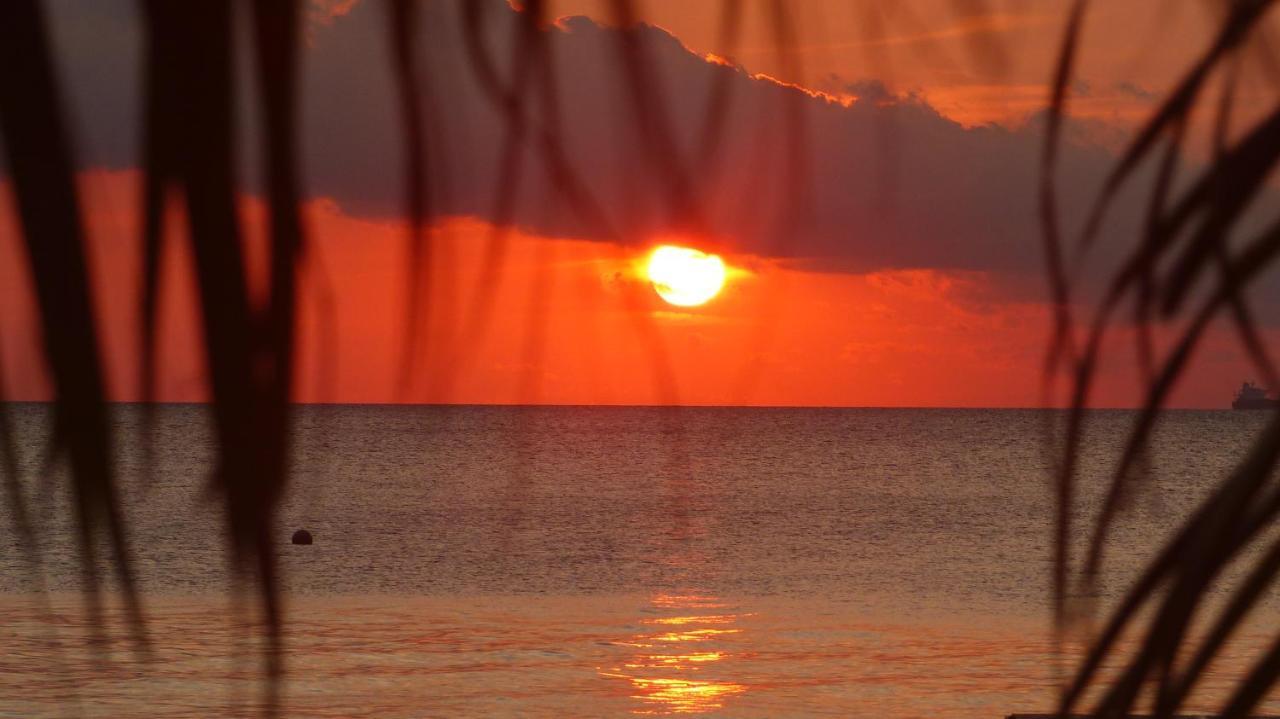 Blue Bay Penthouse Reef 5, Beach Golf Pool Dive With Ocean View Dorp Dorp Sint Michiel エクステリア 写真