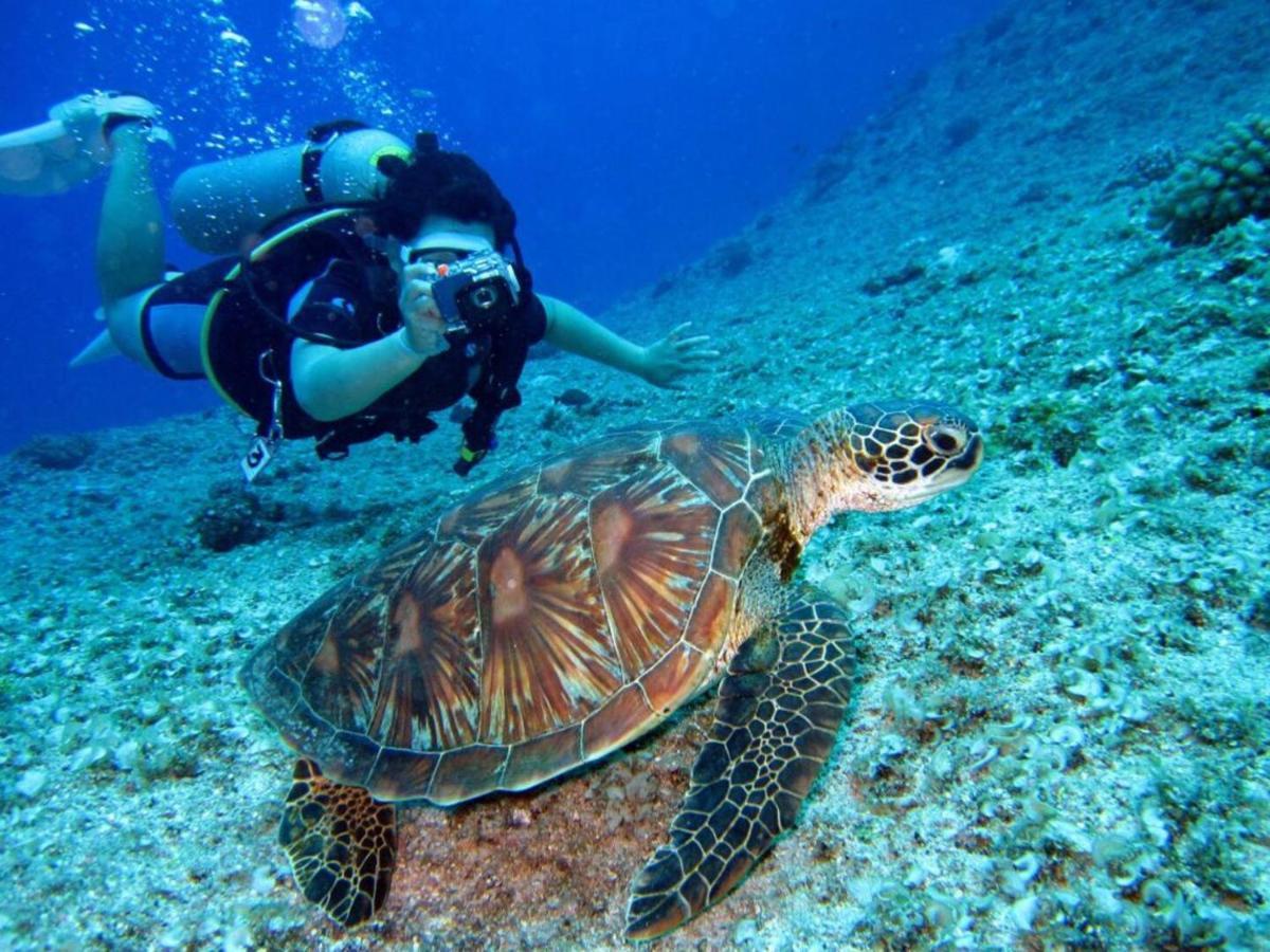 Blue Bay Penthouse Reef 5, Beach Golf Pool Dive With Ocean View Dorp Dorp Sint Michiel エクステリア 写真